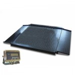 Cân điện tử 2 tấn, Can dien tu 2 tan - image1